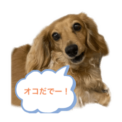 megumi_20220915182038