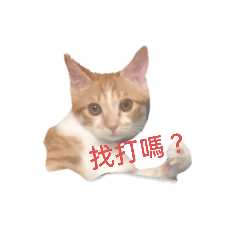 想啥呢。
