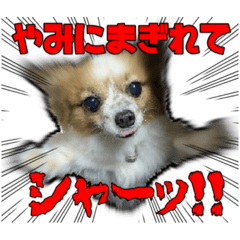 NULL8_20220916071215