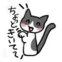 Kansai dialecthealing cat