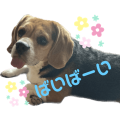 hana_20220915190252