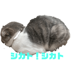 jin_20220915190408