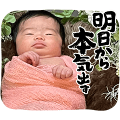 akari_20220915215616