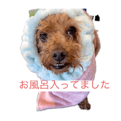 mizuki_20220915221405