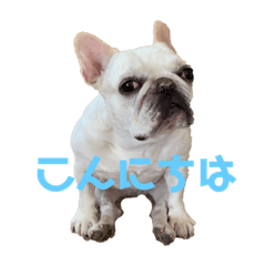 kinaco_20220915224153