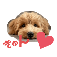 naho_20220915224643