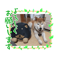 yukari_20220915224917