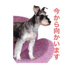 shin_2022580372884