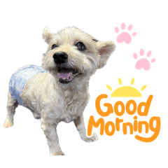 hikari_20220916125451