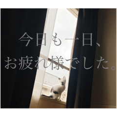 HIKARI_20220916000252