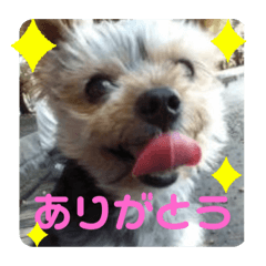 Hana_20220916122817