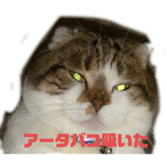 jin_20220916145738