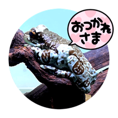 Jack_20220916164447