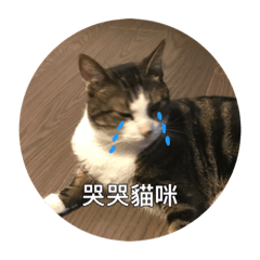 尼莫是隻魚