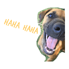 4naughtydogs v.2