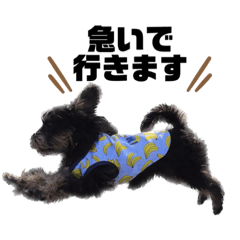 mizuki_20220916210805