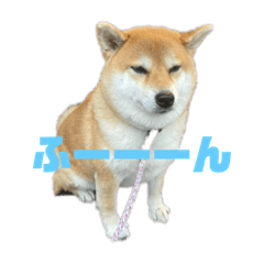 hana_20220916191342