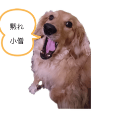 megumi_20220916193604