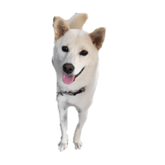 jack_20220916211810