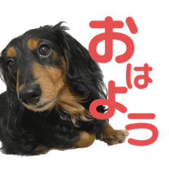 Yuka_20220916215005