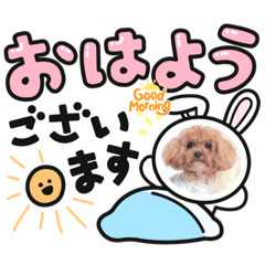 謝謝(*ˊᵕˋ*)੭ ੈ❤︎