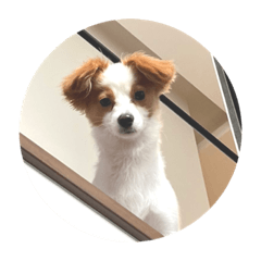 natsumi_20220916214243