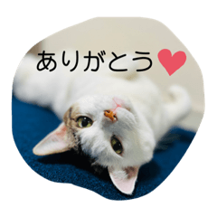 yuka_20220916233652