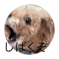 kosuke2222222222