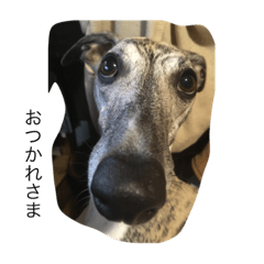 willow said OTSUKARESAMA