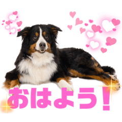 HaruRioLaki