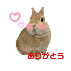 kinaco_20220917025150