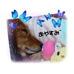 YUKA_20220916103137