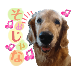 Honey_20220917140359