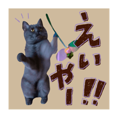 hana_20220917140506