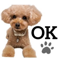 HIKARI_20220917140218