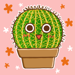 cactus collection!!