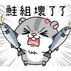 "倉倉"倉鼠16-海洋動物派對