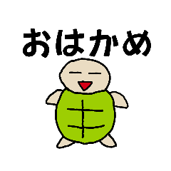 Turtle(Kame-chan)