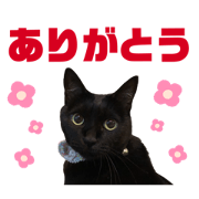 miya_20220917151326