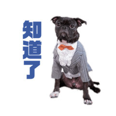 熊熊的無憂無慮日常★第五彈☆