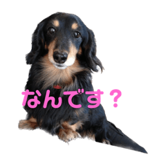 kosuke_20220917155350