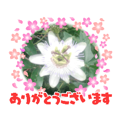 Megumi_20220917163938