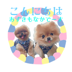 kuwaharu_20220917132441