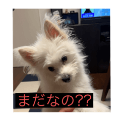 HIKARU_20220917232713