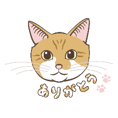 こめちゃんスタンプ(ねこ)