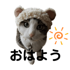 suzu_20220917194000