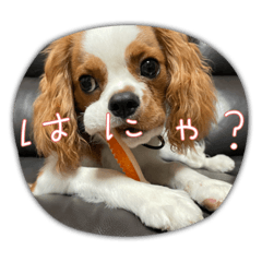 natsumi_20220917212200