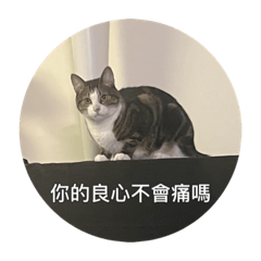 尼莫不是豬