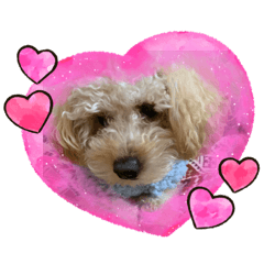 シュシュの可愛いスタンプ