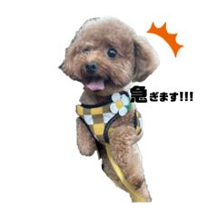 saori_20220917213039